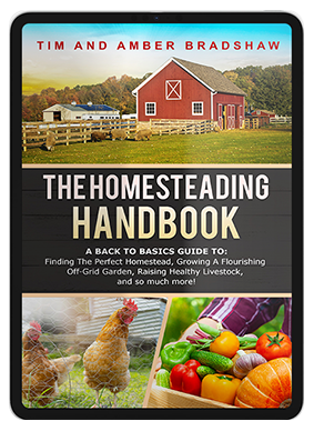 Homesteaders