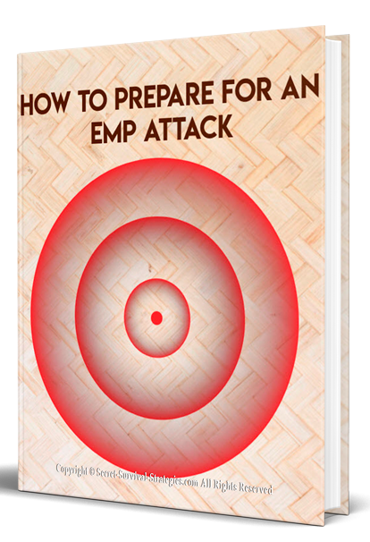 How to Prepare for An Emp Attack